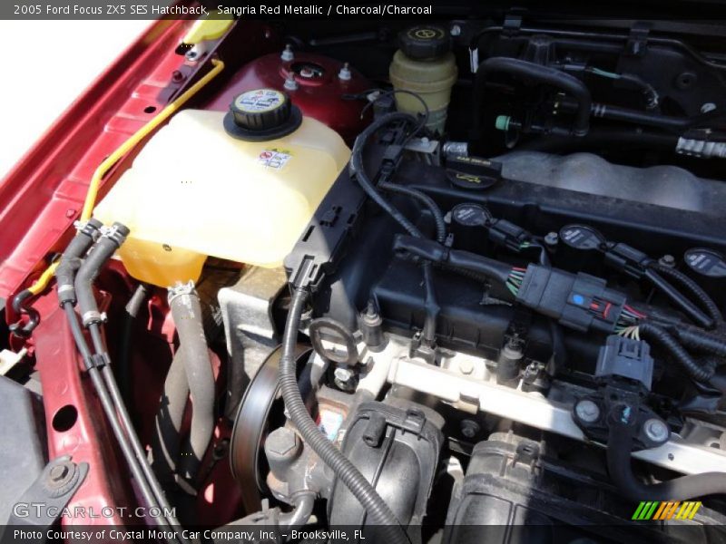 Sangria Red Metallic / Charcoal/Charcoal 2005 Ford Focus ZX5 SES Hatchback