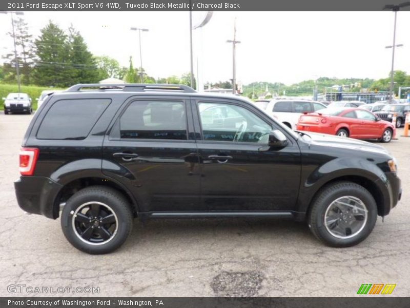 Tuxedo Black Metallic / Charcoal Black 2011 Ford Escape XLT Sport V6 4WD