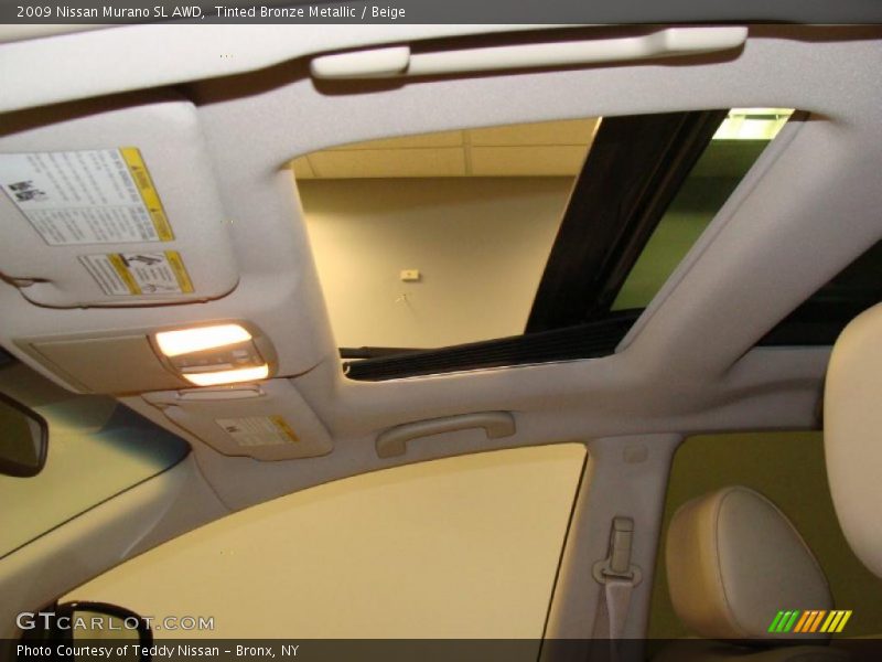 Tinted Bronze Metallic / Beige 2009 Nissan Murano SL AWD