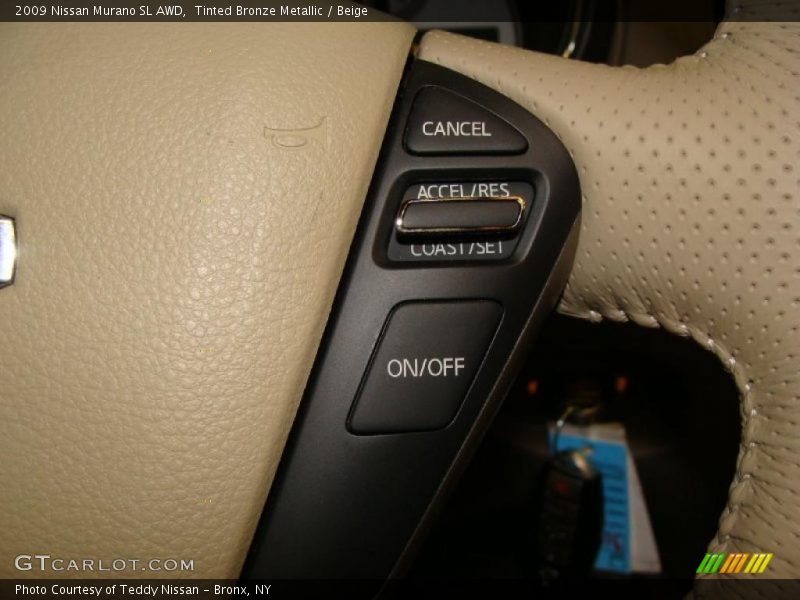 Tinted Bronze Metallic / Beige 2009 Nissan Murano SL AWD