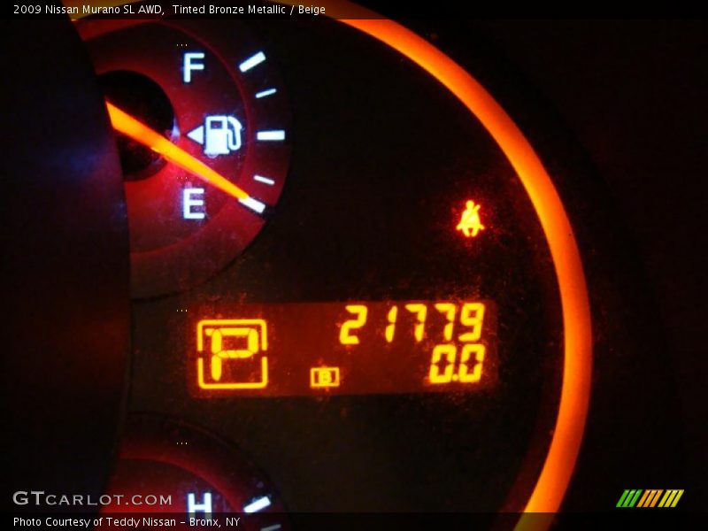 Tinted Bronze Metallic / Beige 2009 Nissan Murano SL AWD