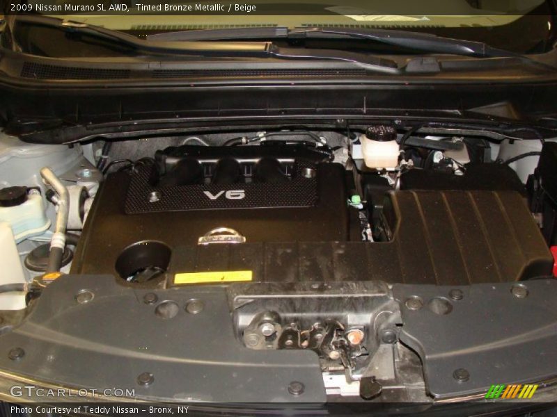 Tinted Bronze Metallic / Beige 2009 Nissan Murano SL AWD