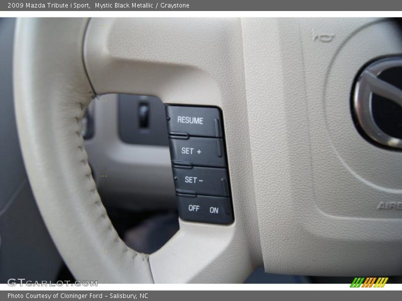 Controls of 2009 Tribute i Sport