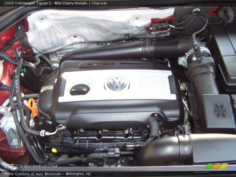 Wild Cherry Metallic / Charcoal 2009 Volkswagen Tiguan S