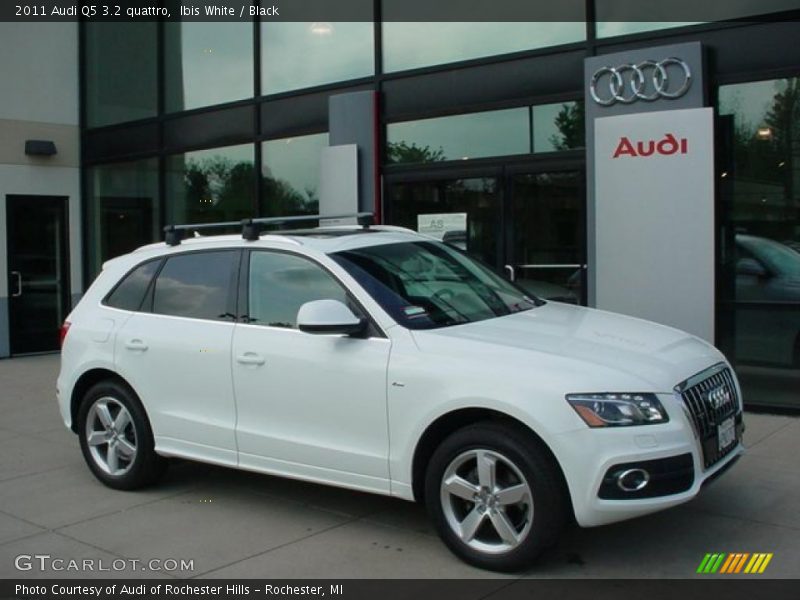 Ibis White / Black 2011 Audi Q5 3.2 quattro
