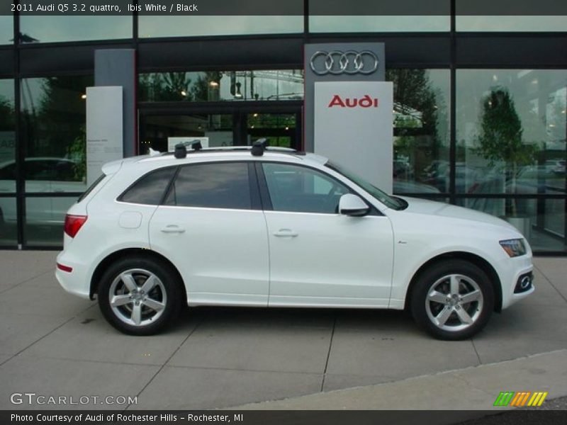 Ibis White / Black 2011 Audi Q5 3.2 quattro
