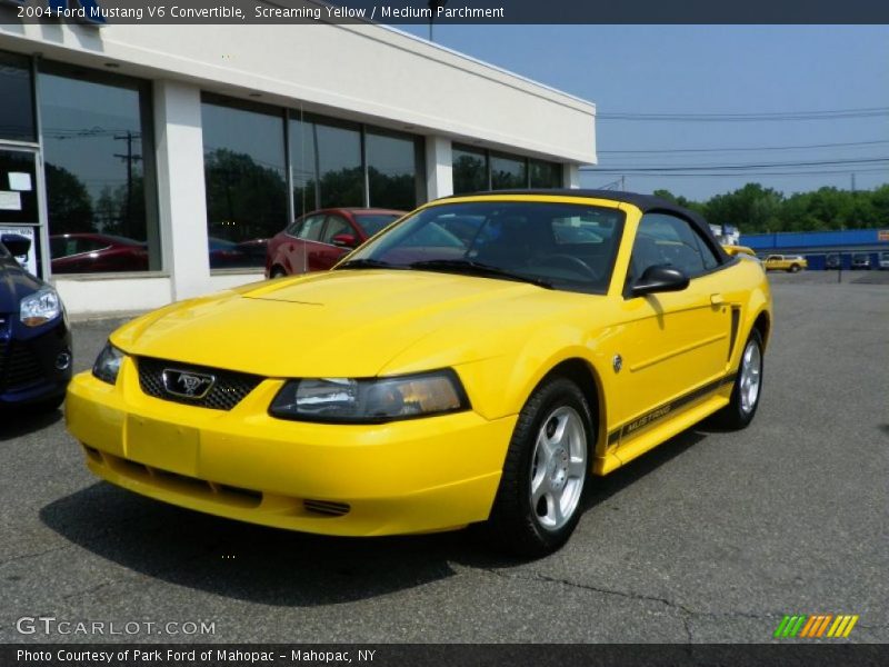 Screaming Yellow / Medium Parchment 2004 Ford Mustang V6 Convertible