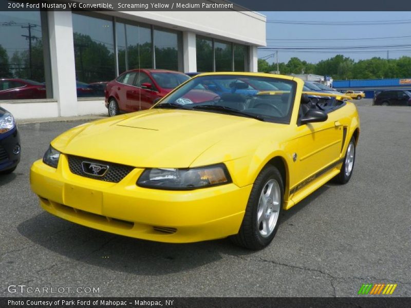 Screaming Yellow / Medium Parchment 2004 Ford Mustang V6 Convertible