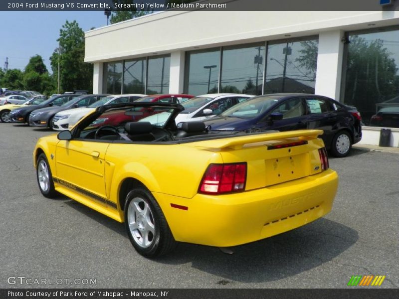 Screaming Yellow / Medium Parchment 2004 Ford Mustang V6 Convertible