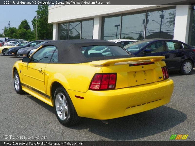 Screaming Yellow / Medium Parchment 2004 Ford Mustang V6 Convertible