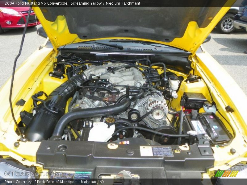 Screaming Yellow / Medium Parchment 2004 Ford Mustang V6 Convertible
