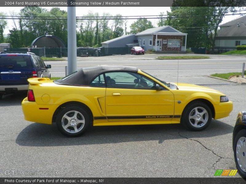 Screaming Yellow / Medium Parchment 2004 Ford Mustang V6 Convertible