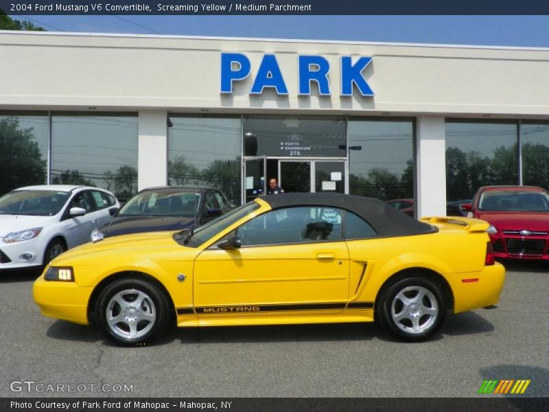 Screaming Yellow / Medium Parchment 2004 Ford Mustang V6 Convertible
