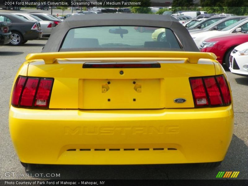Screaming Yellow / Medium Parchment 2004 Ford Mustang V6 Convertible