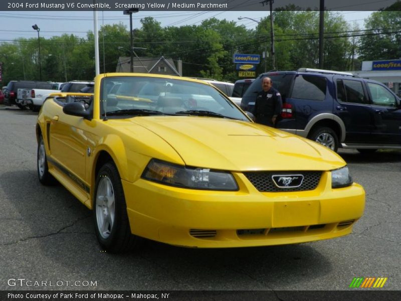 Screaming Yellow / Medium Parchment 2004 Ford Mustang V6 Convertible