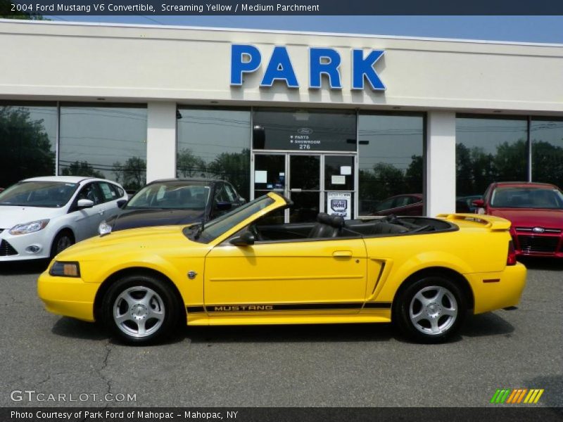 Screaming Yellow / Medium Parchment 2004 Ford Mustang V6 Convertible
