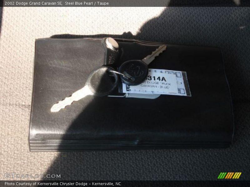 Steel Blue Pearl / Taupe 2002 Dodge Grand Caravan SE