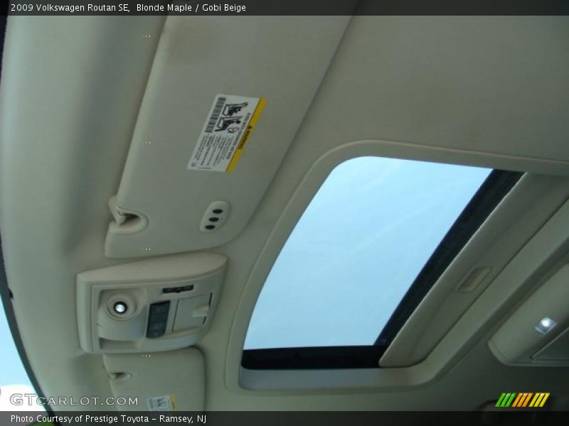 Blonde Maple / Gobi Beige 2009 Volkswagen Routan SE
