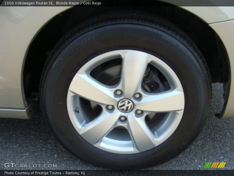 Blonde Maple / Gobi Beige 2009 Volkswagen Routan SE