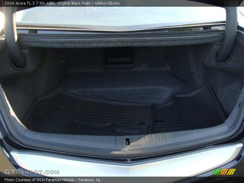 Crystal Black Pearl / Umber/Ebony 2009 Acura TL 3.7 SH-AWD