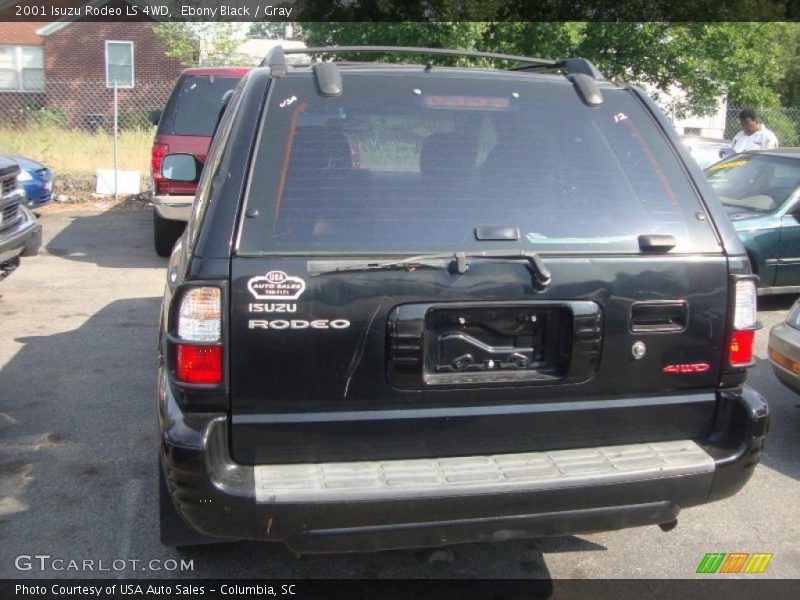 Ebony Black / Gray 2001 Isuzu Rodeo LS 4WD