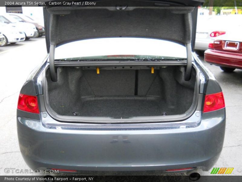 Carbon Gray Pearl / Ebony 2004 Acura TSX Sedan