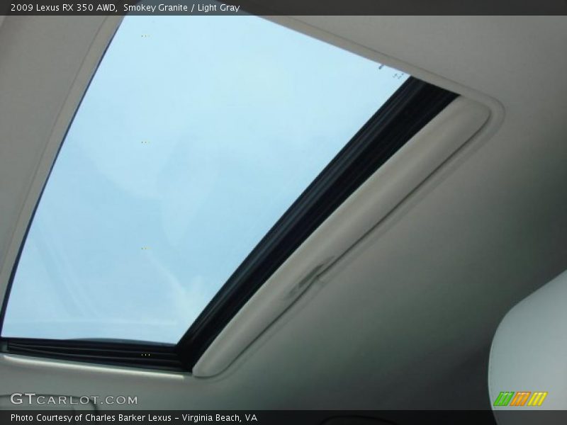 Smokey Granite / Light Gray 2009 Lexus RX 350 AWD