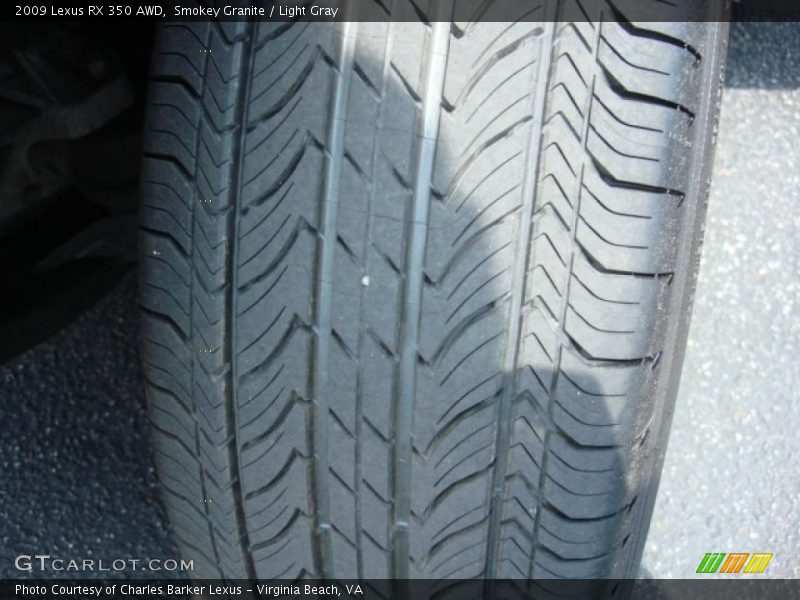 Smokey Granite / Light Gray 2009 Lexus RX 350 AWD