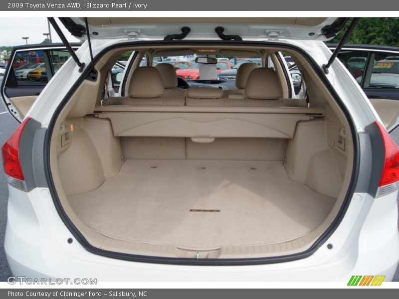  2009 Venza AWD Trunk