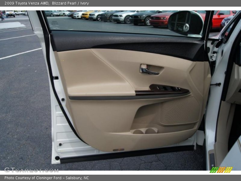Door Panel of 2009 Venza AWD