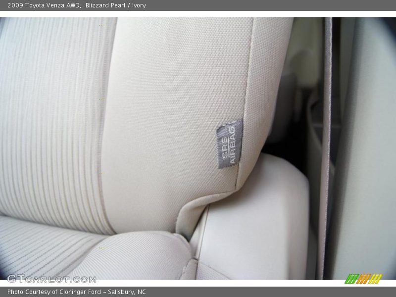 Blizzard Pearl / Ivory 2009 Toyota Venza AWD