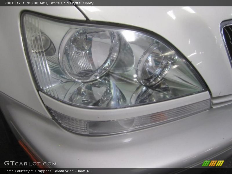 White Gold Crystal / Ivory 2001 Lexus RX 300 AWD
