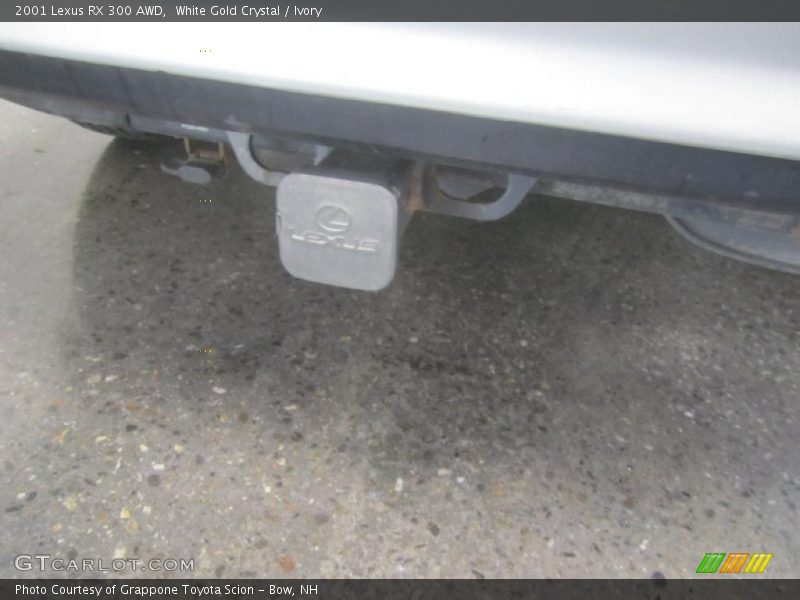 White Gold Crystal / Ivory 2001 Lexus RX 300 AWD