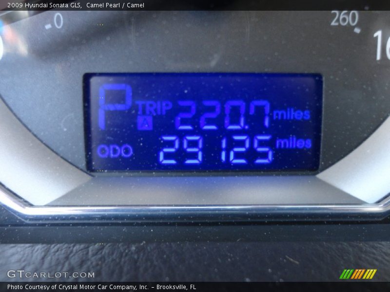 Camel Pearl / Camel 2009 Hyundai Sonata GLS