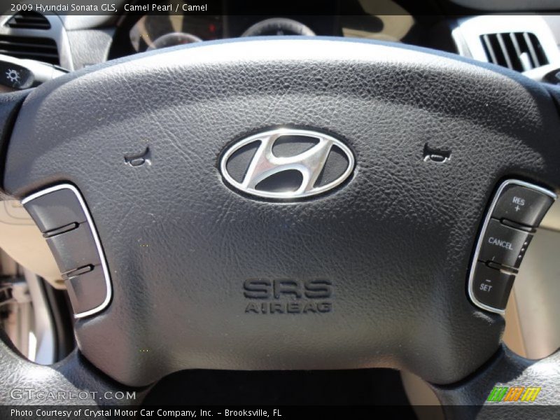 Camel Pearl / Camel 2009 Hyundai Sonata GLS
