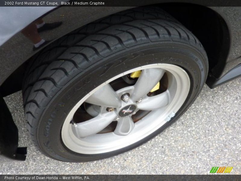Black / Medium Graphite 2002 Ford Mustang GT Coupe