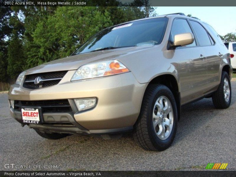 Mesa Beige Metallic / Saddle 2002 Acura MDX