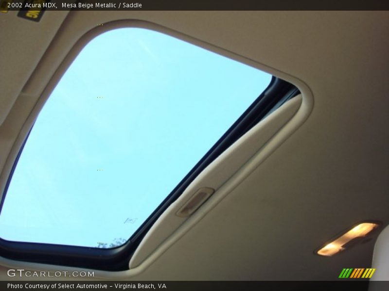 Mesa Beige Metallic / Saddle 2002 Acura MDX