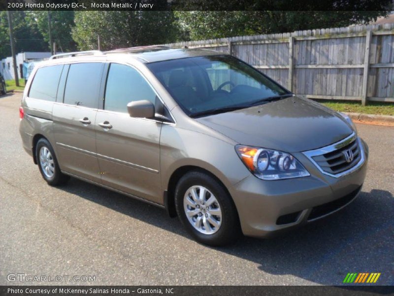 Mocha Metallic / Ivory 2009 Honda Odyssey EX-L