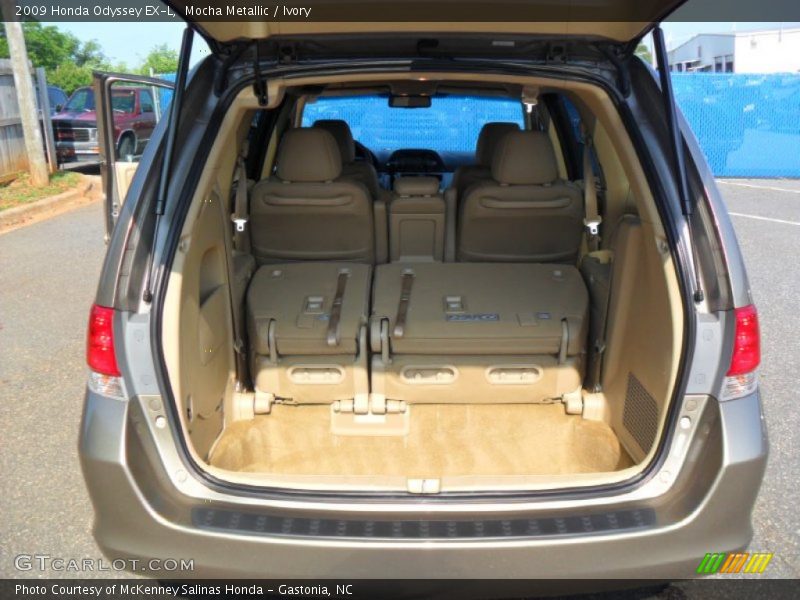 Mocha Metallic / Ivory 2009 Honda Odyssey EX-L