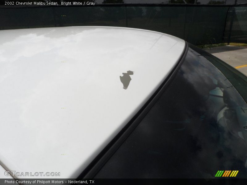 Bright White / Gray 2002 Chevrolet Malibu Sedan