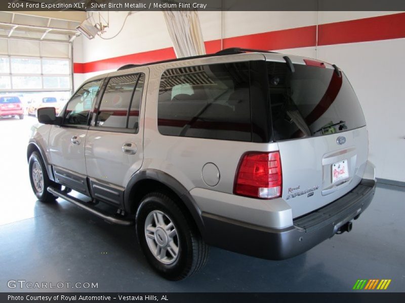 Silver Birch Metallic / Medium Flint Gray 2004 Ford Expedition XLT
