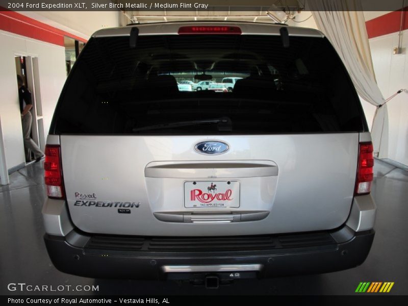 Silver Birch Metallic / Medium Flint Gray 2004 Ford Expedition XLT