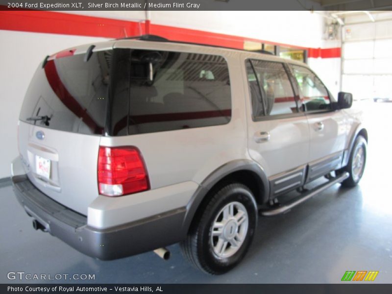 Silver Birch Metallic / Medium Flint Gray 2004 Ford Expedition XLT