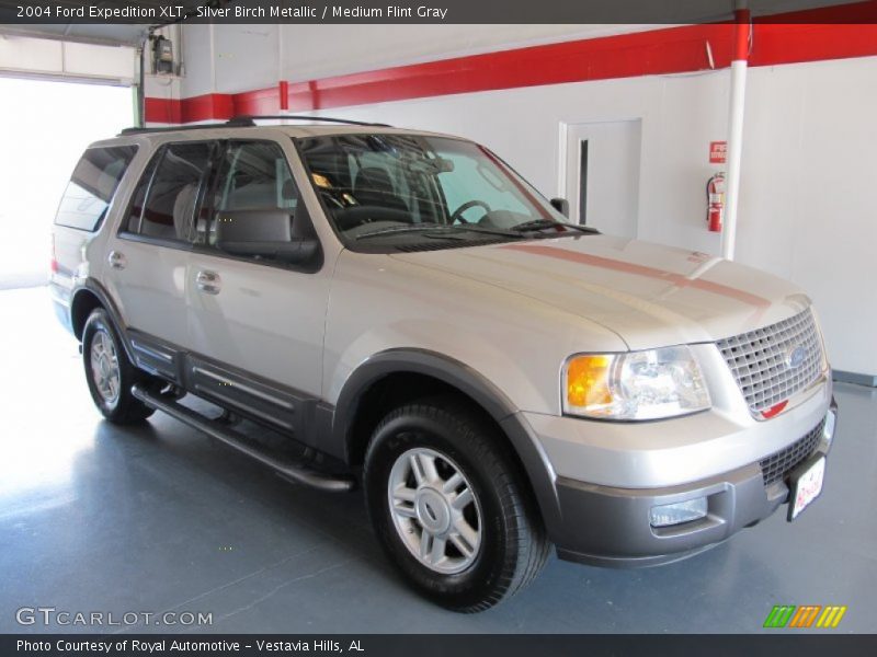 Silver Birch Metallic / Medium Flint Gray 2004 Ford Expedition XLT