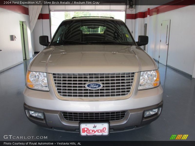 Silver Birch Metallic / Medium Flint Gray 2004 Ford Expedition XLT