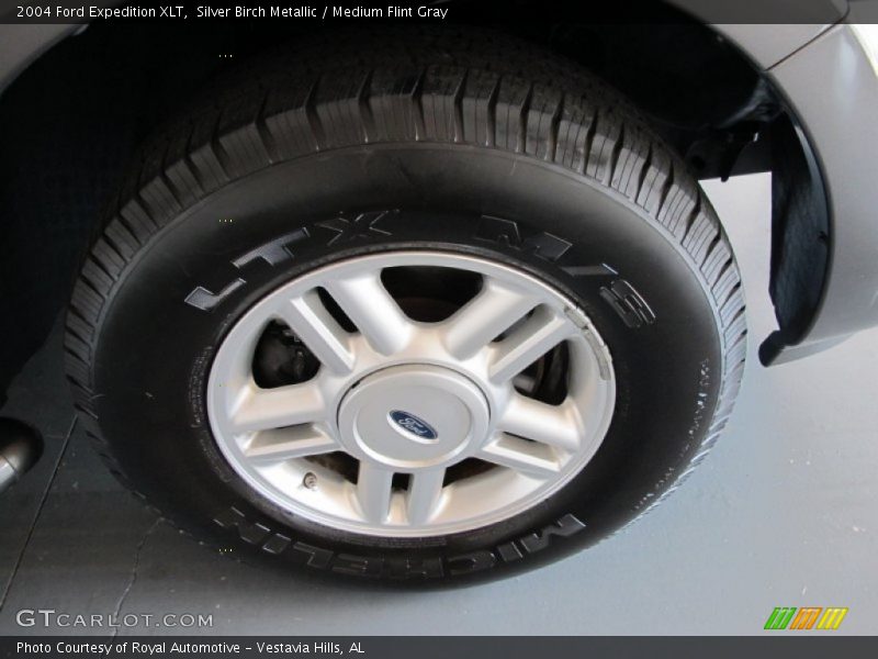Silver Birch Metallic / Medium Flint Gray 2004 Ford Expedition XLT