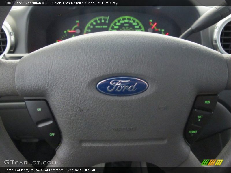 Silver Birch Metallic / Medium Flint Gray 2004 Ford Expedition XLT