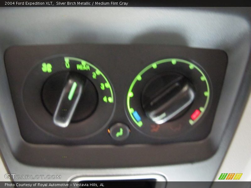 Silver Birch Metallic / Medium Flint Gray 2004 Ford Expedition XLT