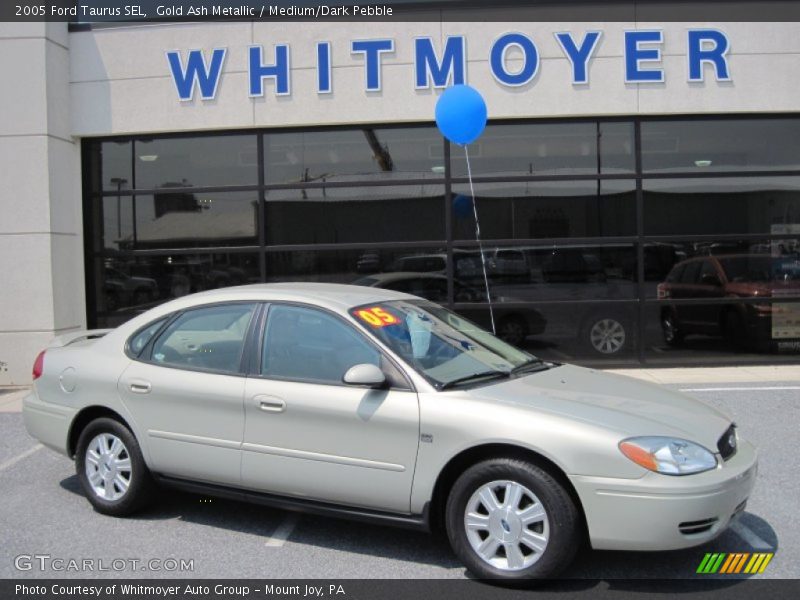 Gold Ash Metallic / Medium/Dark Pebble 2005 Ford Taurus SEL